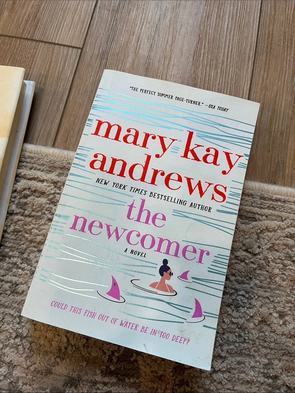 5 book Summer Novel Collection